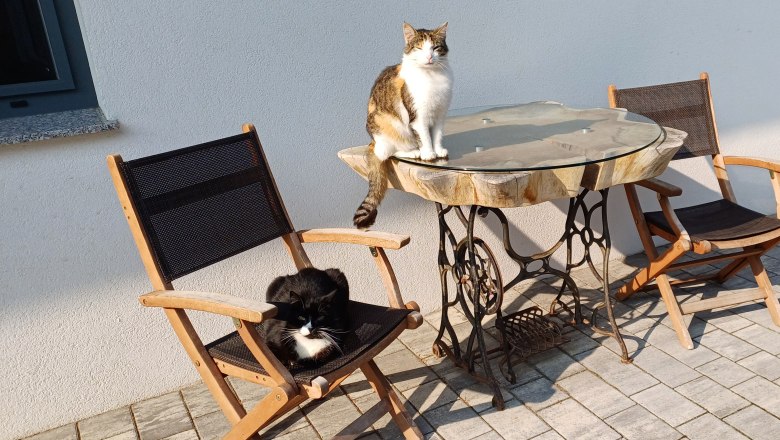 Schnurli und Lilly, © Martina Bachzelt