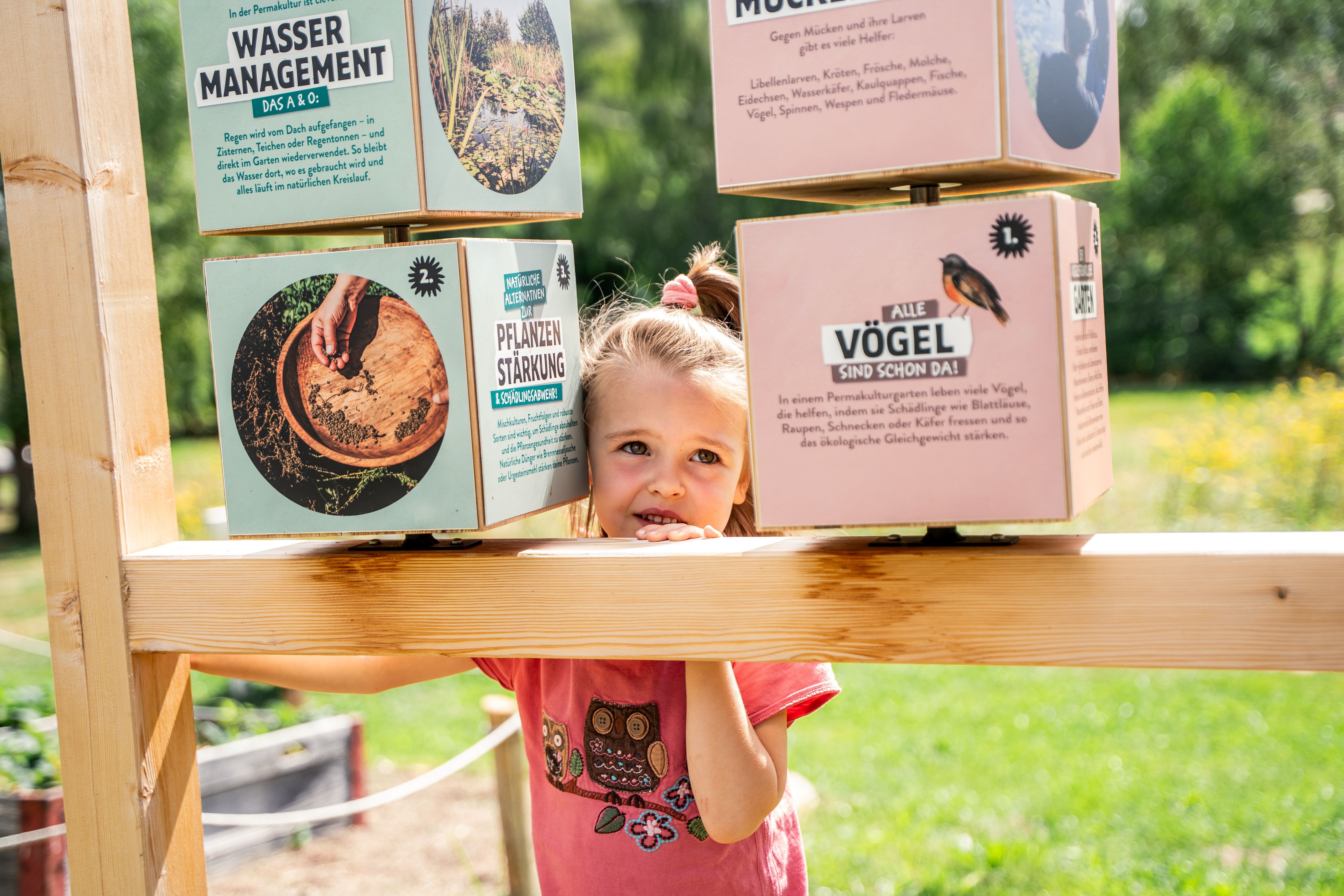 Ein Kind steht in einem Garten und schaut neugierig durch eine Holzstruktur mit Informationswürfeln über Permakultur.