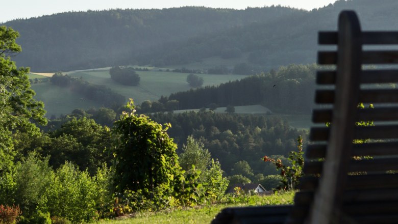 Holzbank mit Blick auf hügelige Landschaft und Bäume im Hintergrund.