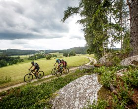 Granittrail, © Waldviertel Tourismus, Erwin Haiden