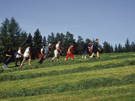 Predigtstuhlwanderung, © Waldviertel Tourismus