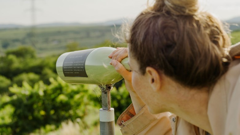 WEINWEG Langenlois, © Niederösterreich Werbung/Julius Hirtzberger