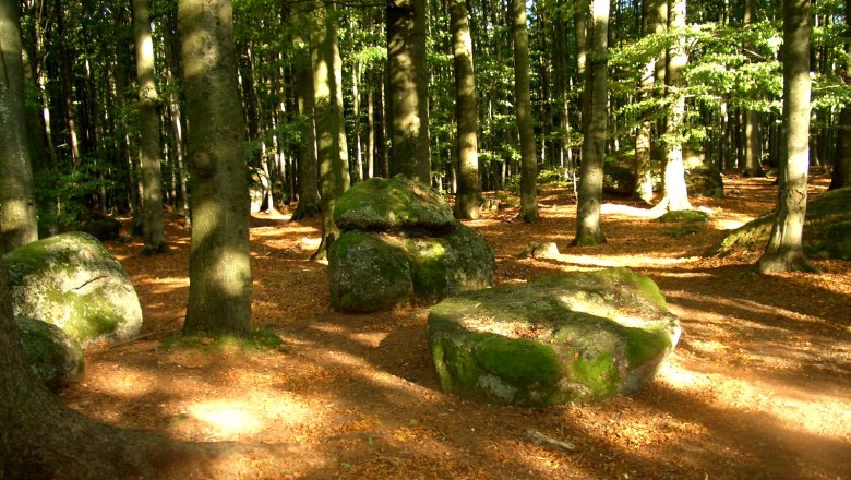 Meeting place for druids, © Tourismusverband Ysper-Weitental