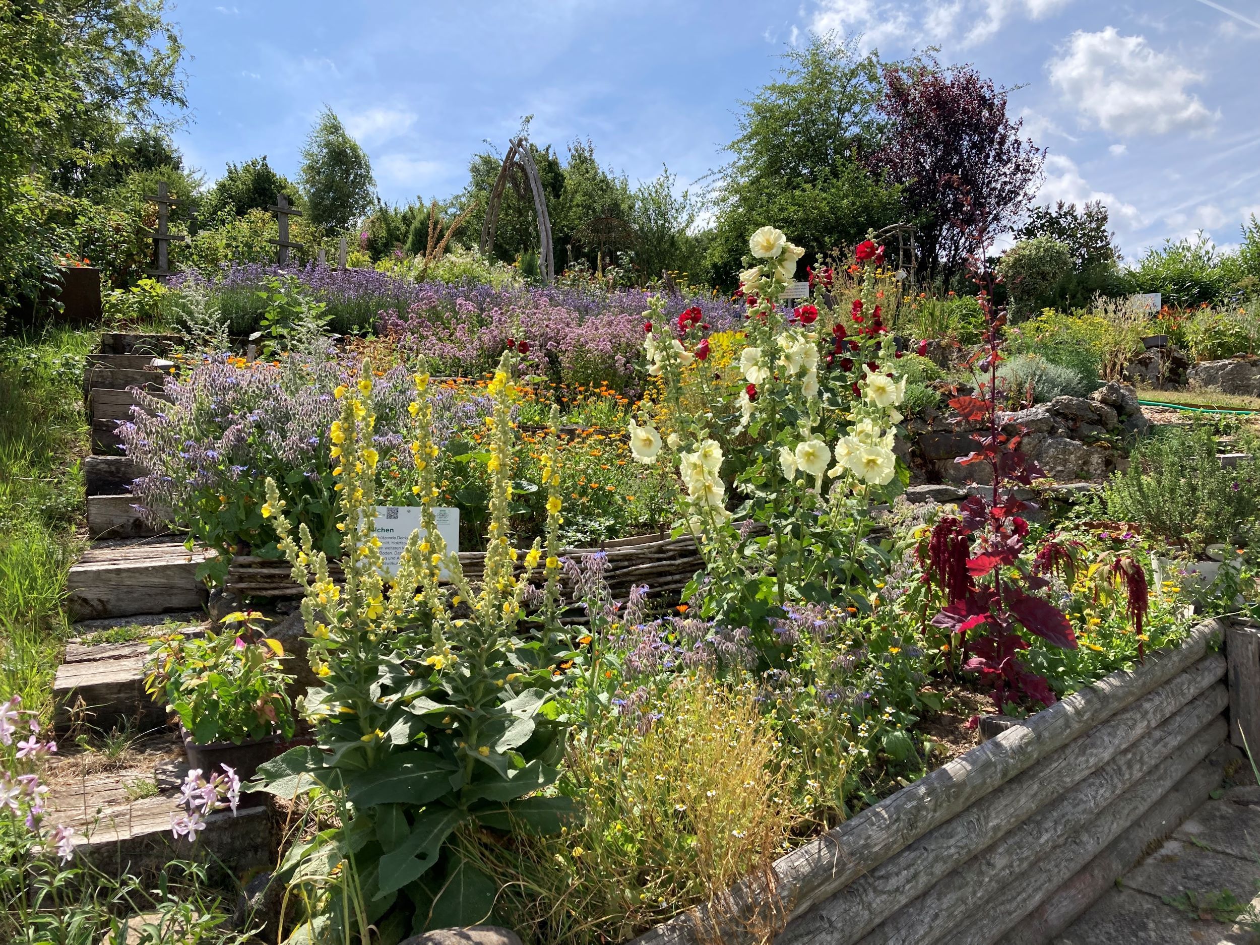 Ein bunter Schaugarten mit verschiedenen Blumen und Pflanzen auf Terrassen angelegt, unter blauem Himmel.