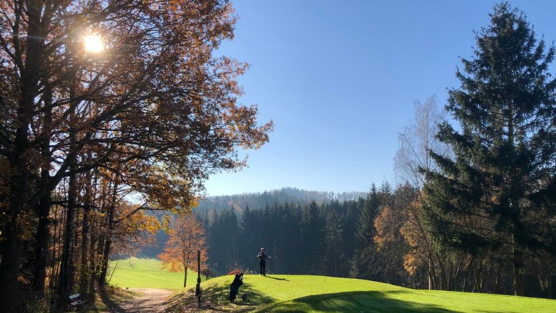 Golfer auf sonnigem Herbstplatz, umgeben von Bäumen und Wald.