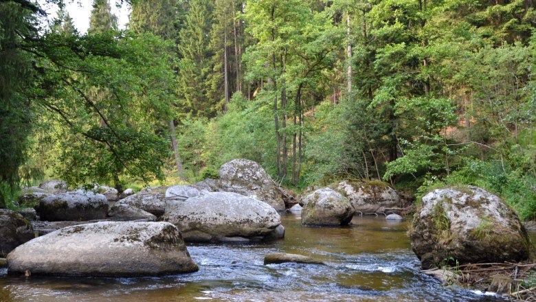 Wasserwunderweg Nr. 55a, © Monika Prinz