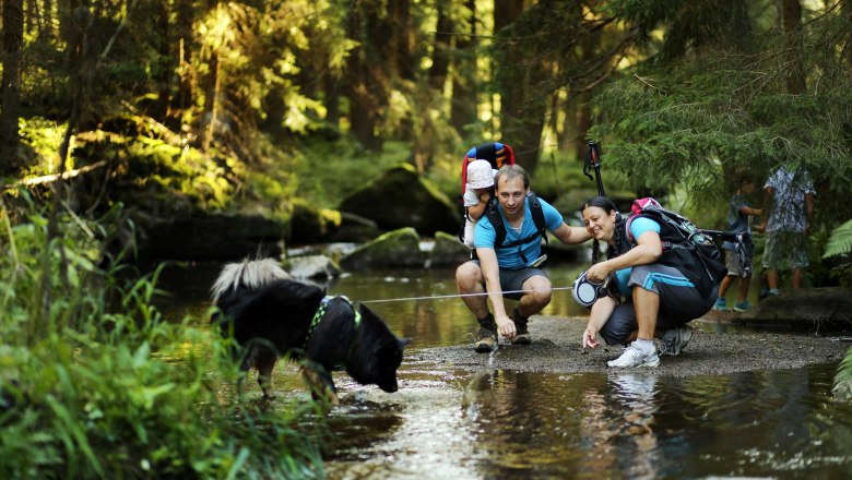 Wandern beim Kamp, © Waldviertel Tourismus, weinfranz