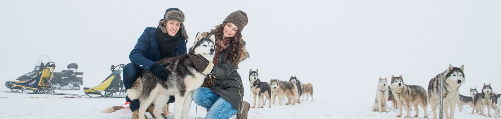 Schlittenhunde-Abenteuer im Waldviertel, © Waldviertel Tourismus, Studio Kerschbaum