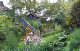 Ein idyllischer Garten mit einem kleinen Holzhaus, umgeben von bl&uuml;henden Pflanzen und B&auml;umen.