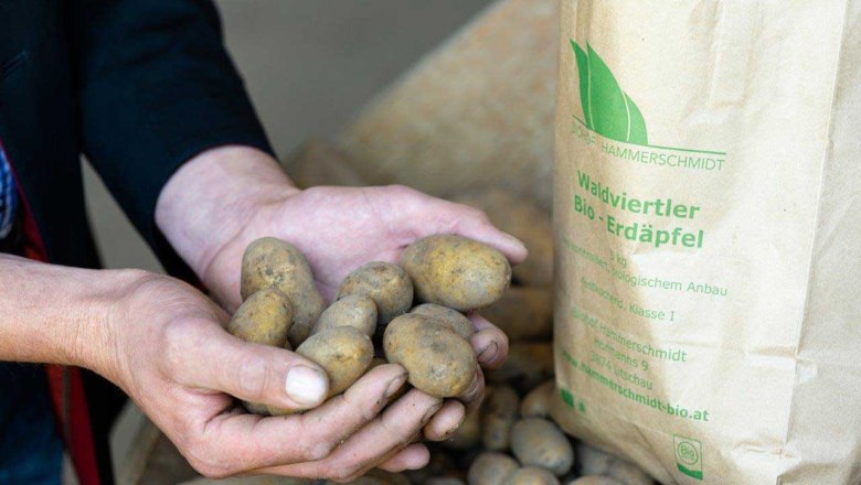 Hammerschmidt organic farm, &copy; Netzwerk Kulinarik/Martina Siebenhandl