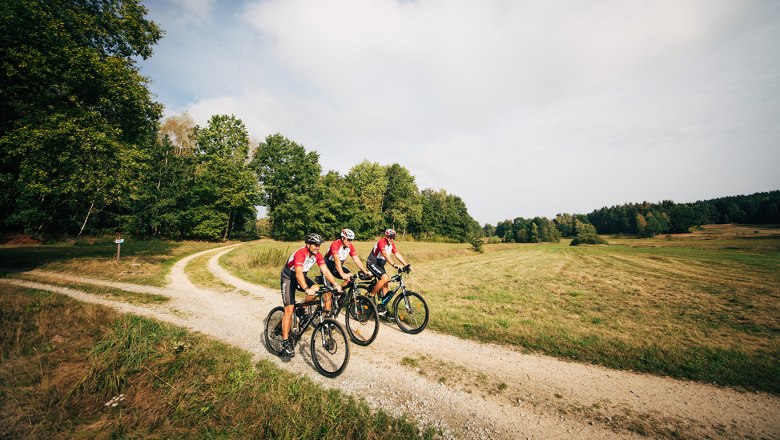 Iron Curtain Trail, © Waldviertel Tourismus, contentkumpaneiGollner