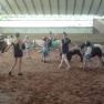 Reiten in der Halle, © Franz Inghofer