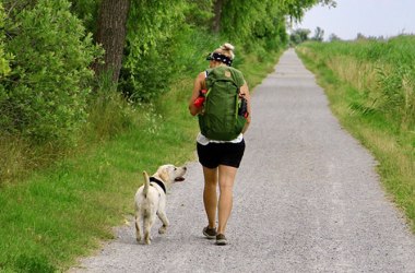 Unterwegs auf vier Pfoten, © Waldviertel Tourismus