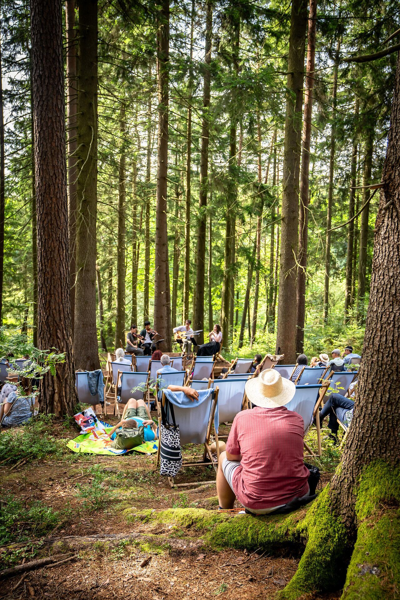 Umgeben von majestätischen Bäumen und dem sanften Licht der Sonne, versammeln sich Musikliebhaber in der Natur, um die Klänge des Schrammel.Klang.Festivals zu genießen. Die entspannte Atmosphäre und die harmonischen Melodien schaffen eine unvergessliche Verbindung zwischen Mensch und Natur.