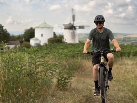 Radfahren, Weinviertel, Retzer Land, Windm&uuml;hle, &copy; Weinviertel Tourismus/Markus Fr&uuml;hmann