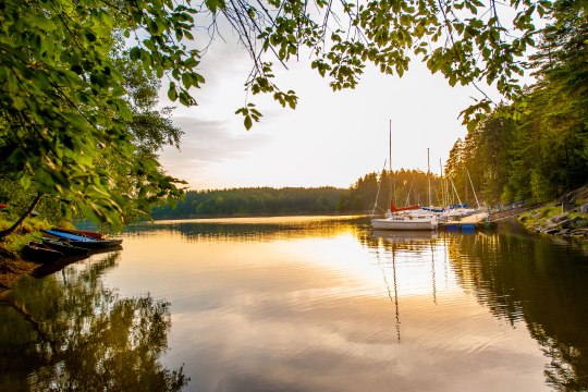 Stausee, © Waldviertel Tourismus, Studio Kerschbaum