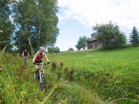 MTB Waldviertel, &copy; &copy; Waldviertel Tourismus, Erwin Haiden, nyx.at