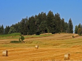 Strohballen, © Rainer Gangl