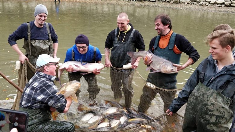 Abfischen, &copy; Manuela Toifl