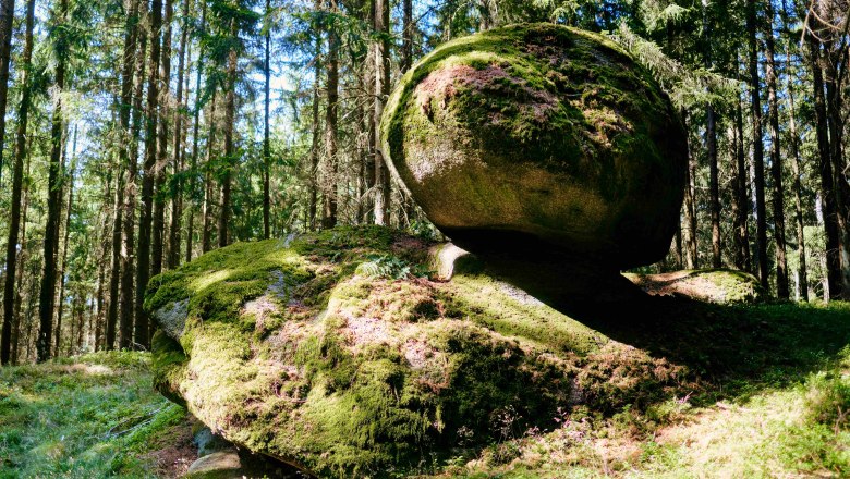 Unser Wald - ein Naturjuwel, © Biohof Hammerschmidt