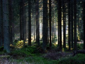 Karlstift, &copy; &copy; Atticus