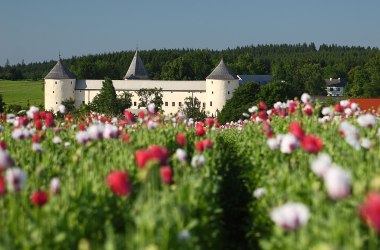 Schloss Ottenschlag, © Martin Rehberger