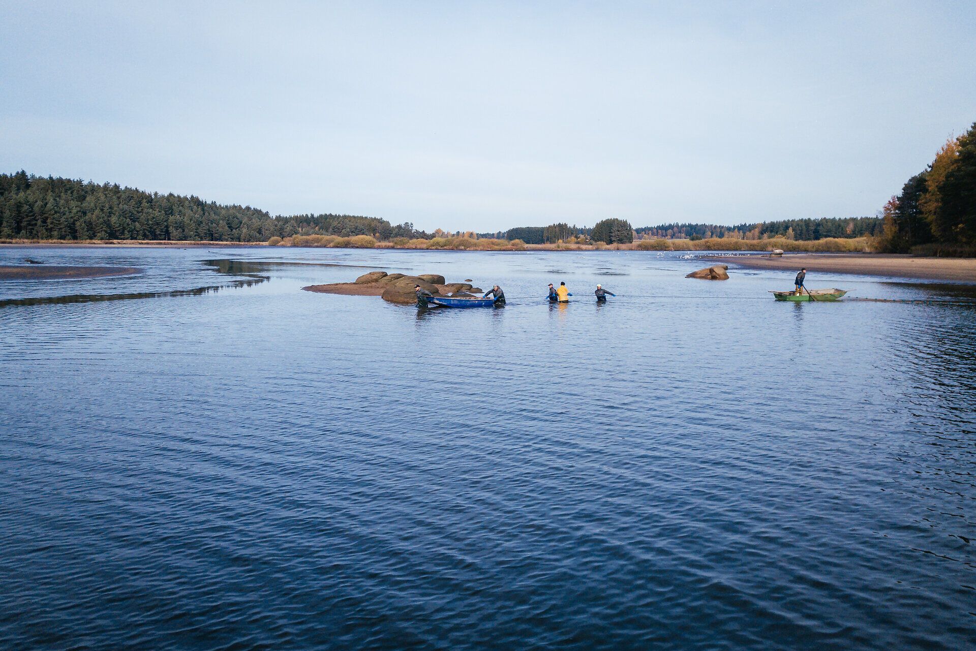 In der ruhigen Wasserlandschaft des Waldviertels sind Angler mit Geduld und Geschick am Werk, um die schimmernden Karpfen zu fangen. Umgeben von sanften Hügeln und üppigem Grün, vermittelt die Szenerie ein Gefühl von Harmonie und Naturverbundenheit. Hier, wo die Zeit stillzustehen scheint, wird das Angeln zu einem meditativen Erlebnis.