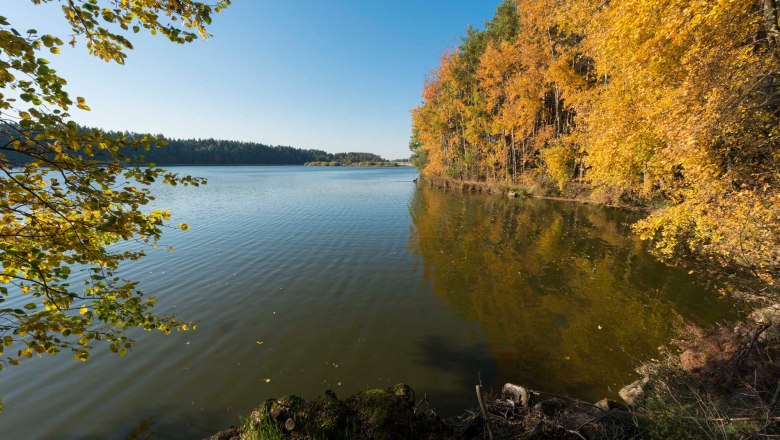 Bruneiteich bei Altmanns, © Waldviertel Tourismus, Matthias Schickhofer