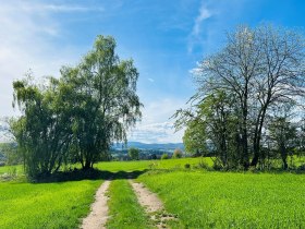 Weitra, &copy; Unknown