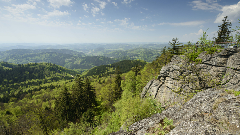 Burgsteinmauer im Südlichen Waldviertel, © Matthias Schickhofer