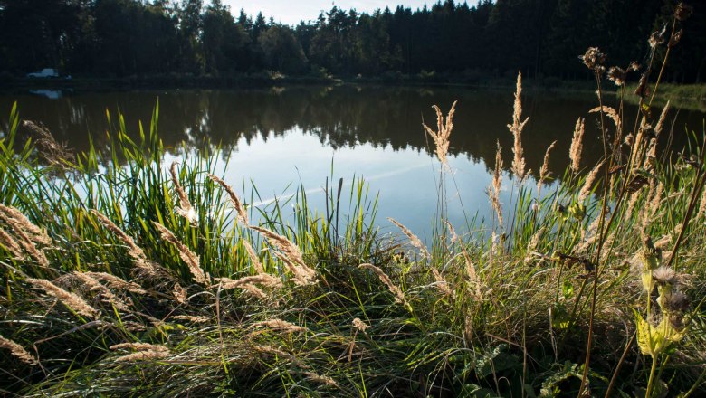 Ottensteiner Teichplatte, © Waldviertel Tourismus, Matthias Schickhofer