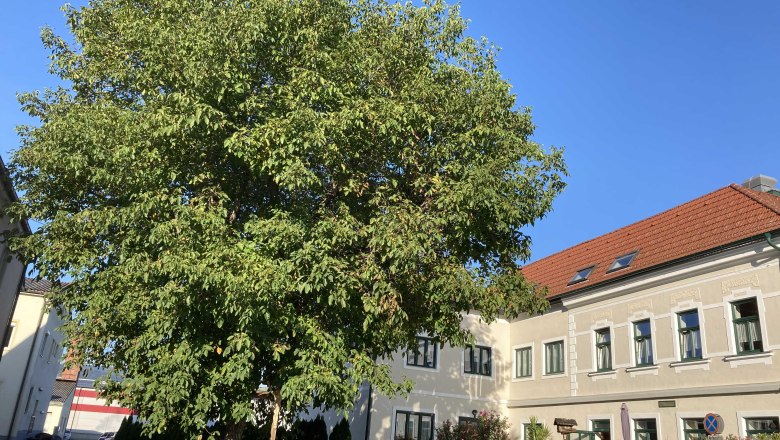 img_0341, © Frühstückspension Gerstbauer