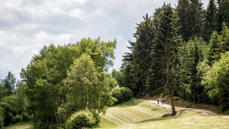 Granittrail, © Waldviertel Tourismus, Erwin Haiden