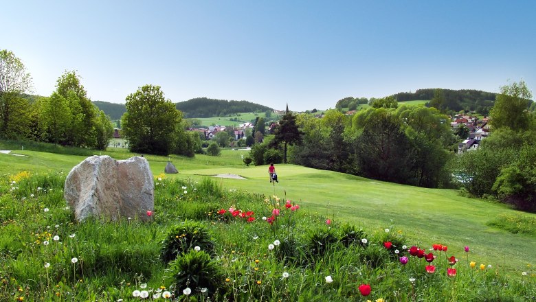 Landschaft mit Blumenwiese, Bäumen und einem Dorf im Hintergrund.
