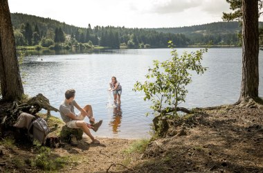 Edlesberger See, © Waldviertel Tourismus, Studio Kerschbaum