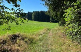 Am Waldrand, © www.zwalk.at