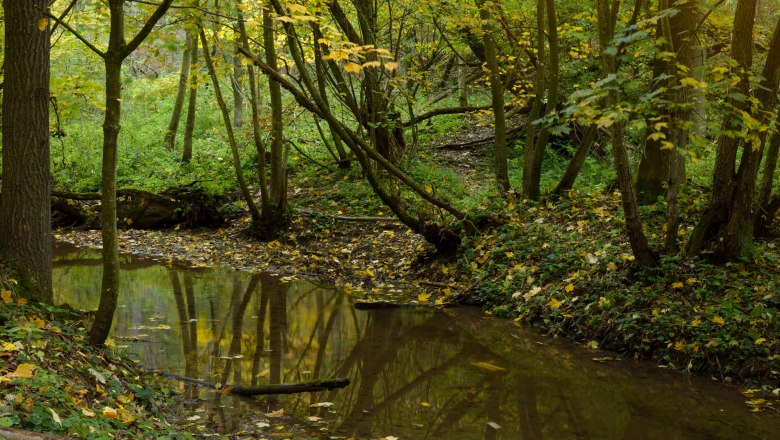 Pulkautal, © Waldviertel Tourismus, Matthias Schickhofer