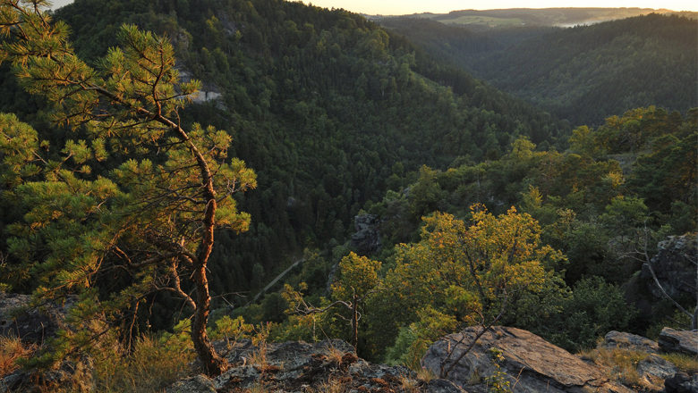 Wotansfels, Kremstal Canyon
, © Matthias Schickhofer