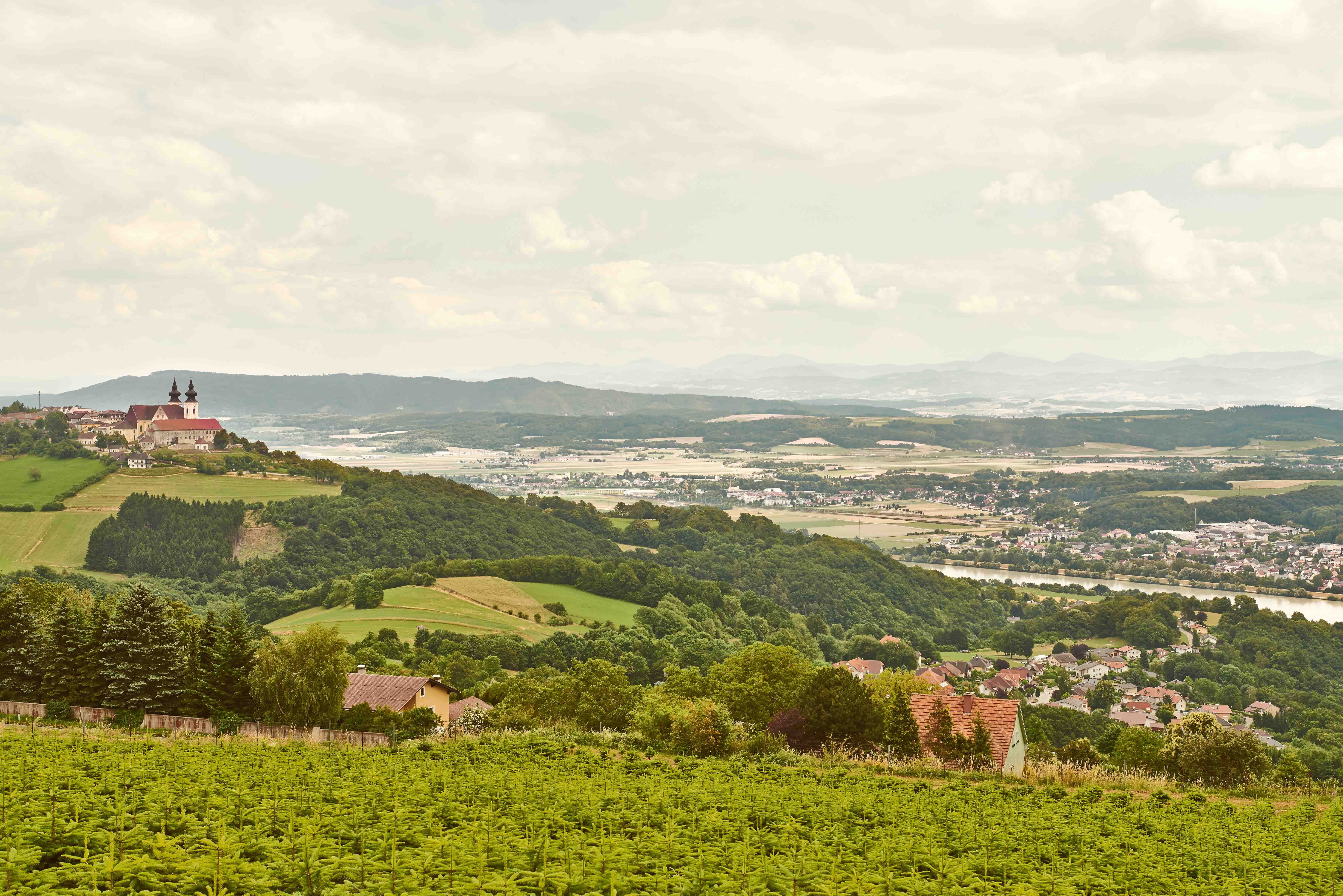 Landschaft mit Blick auf Maria Taferl und das Donautal, grüne Felder und Hügel im Vordergrund, Fluss und Berge im Hintergrund.