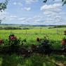 Rosengarten mit Aussicht, © U.E.