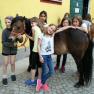 Das Pony Striegeln ist für unsere kleinen Urlaubsgäste eine beliebte Abwechslung., © Franz Inghofer