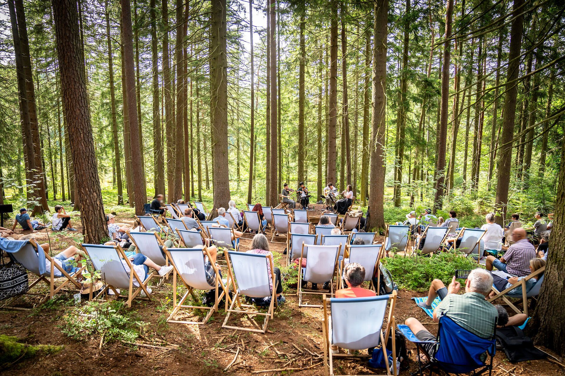 Inmitten der majestätischen Bäume des Waldes versammeln sich Musikliebhaber, um die Klänge des Schrammel.Klang.Festivals zu genießen. Die sanfte Melodie der Instrumente vermischt sich mit dem Rascheln der Blätter und schafft eine harmonische Atmosphäre, die die Seele berührt.