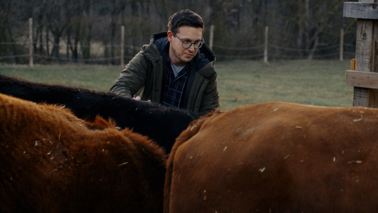 A man in a green jacket stroking cattle in a pasture.