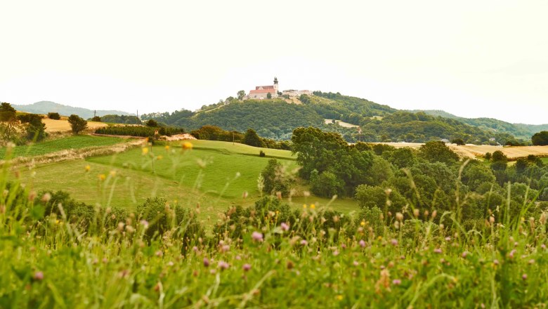 Landschaft mit grünen Wiesen und Hügeln, im Hintergrund eine Kirche auf einem Hügel.