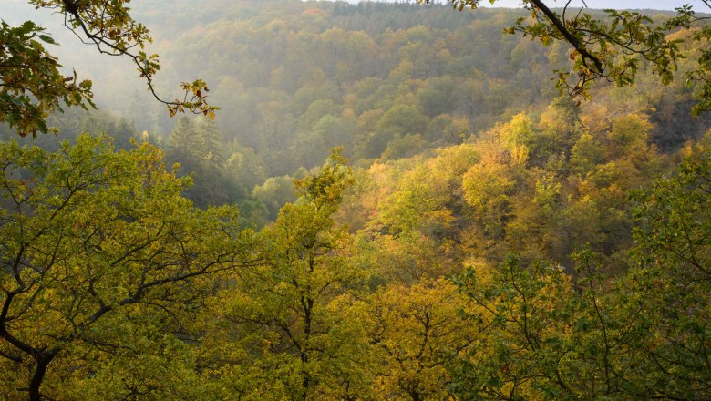 Pulkautal, © Waldviertel Tourismus, Matthias Schickhofer