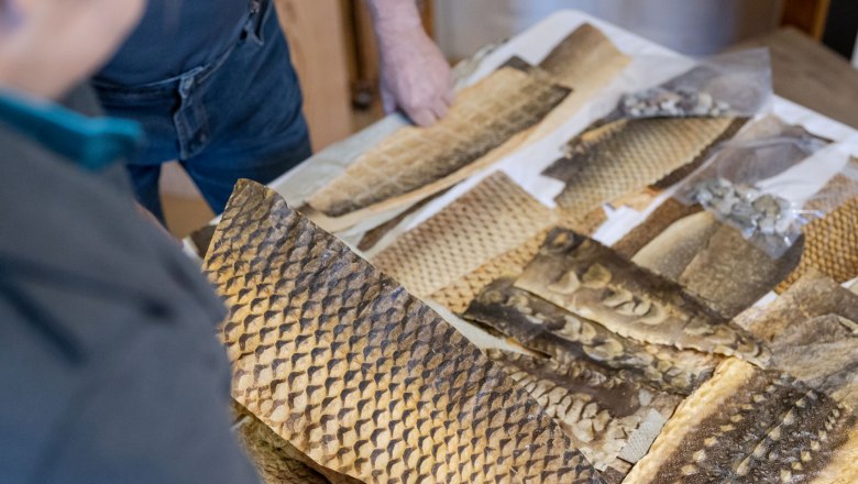 Personen betrachten Fischhautproben auf einem Tisch.