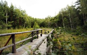 Ein malerischer Holzsteg schl&auml;ngelt sich durch die &uuml;ppige, gr&uuml;ne Landschaft und l&auml;dt zu einem entspannenden Spaziergang ein. Umgeben von sanften H&uuml;geln und dem beruhigenden Rascheln der Bl&auml;tter, bietet dieser Ort eine perfekte Gelegenheit, die Sch&ouml;nheit der Natur zu genie&szlig;en.