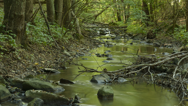 Pulkautal, © Waldviertel Tourismus, Matthias Schickhofer