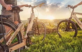 Geführte Touren mit dem Holz E-Bike, © WinEcycle Tours