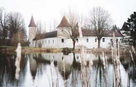 In der winterlichen Stille spiegelt sich das majest&auml;tische Schloss Waldreichs im ruhigen Wasser des Teiches. Umgeben von kahlen B&auml;umen und sanften H&uuml;geln l&auml;dt die frostige Landschaft zu einem besinnlichen Spaziergang ein, w&auml;hrend die frische Luft die Sinne belebt.
